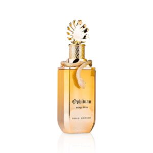 Paris Corner Mango Bliss